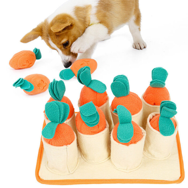 Tappetino olfattivo per cani campo di carote