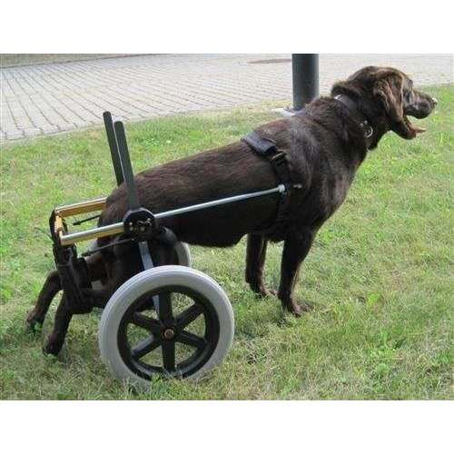 Carrellino Ortopedico Doggy per cani disabili o in riabilitazione -  Carrellini ortopedici per cani disabili - Sanitaria e ortopedia - Tecnici
