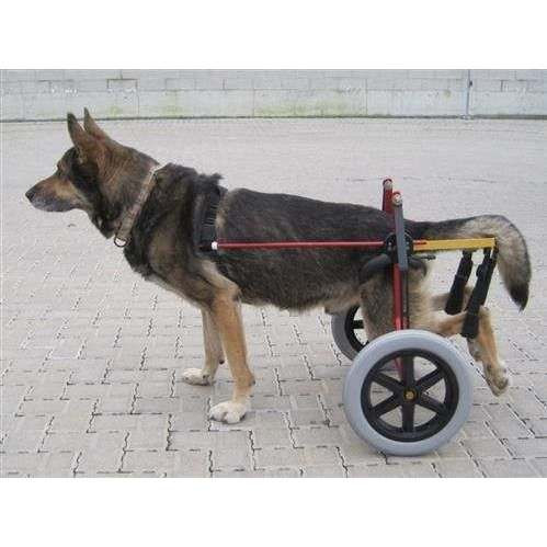 Carrellino Ortopedico Doggy per cani disabili o in riabilitazione
