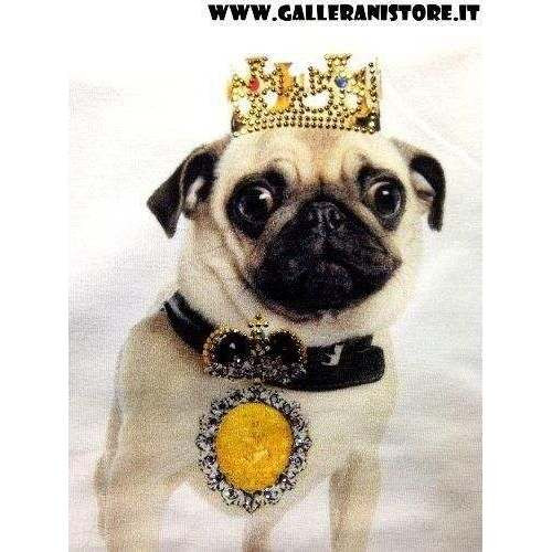 Felpa Carlino per cani - Dog & Dolls TG L