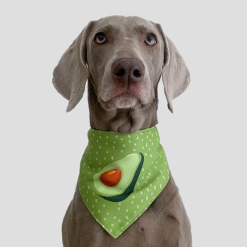 Bandana per cani verde "Avocado"