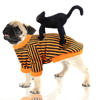 Costume per cani con gatto nero sulla schiena