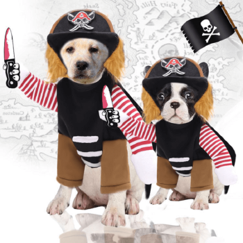 Costume per cani da pirata