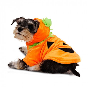 Costume Zucca di Halloween per cani