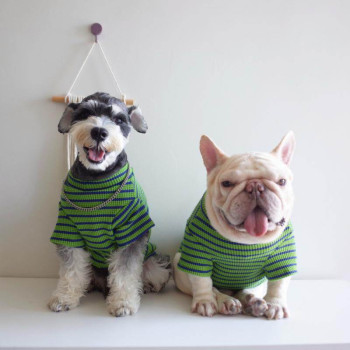 Maglietta a righe verde e blu in cotone per cani "New Fashion"
