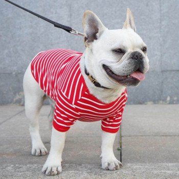 Maglietta per cani a righe in puro cotone "Good Stripes"