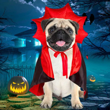 Mantella di Dracula per cani e gatti Halloween