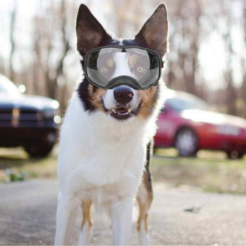 Maschera occhiali per cani grandi "Crystal"