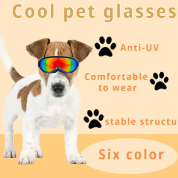 Maschera occhiali per cani protezione dal sole e vento