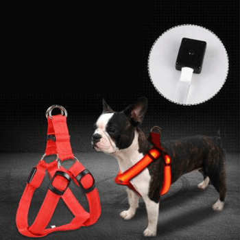 Pettorina per cani luminosa ricaricabile USB "Hudson"