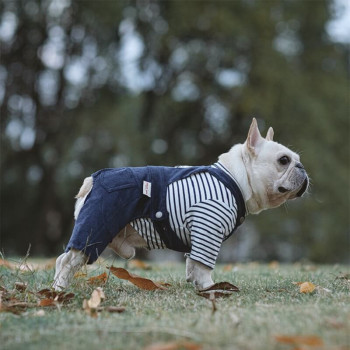 Salopette a righe per cani con maglietta in puro cotone "Malaga"