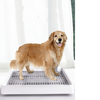 Toilette portatile per cani vasino riutilizzabile lavabile per cani di piccola e media taglia