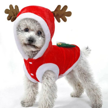 Vestito Babbo Natale per cani e gatti con cappuccio renna